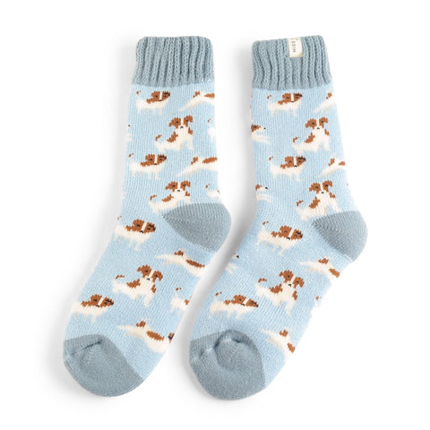 Miss Sparrow TSW019 Powder Blue Winter Jack Russells Socks
