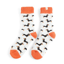 Miss Sparrow TSW021 Winter Sausage Little Dogs Socks (2 Colours)