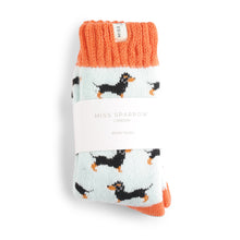 Miss Sparrow TSW021 Winter Sausage Little Dogs Socks (2 Colours)